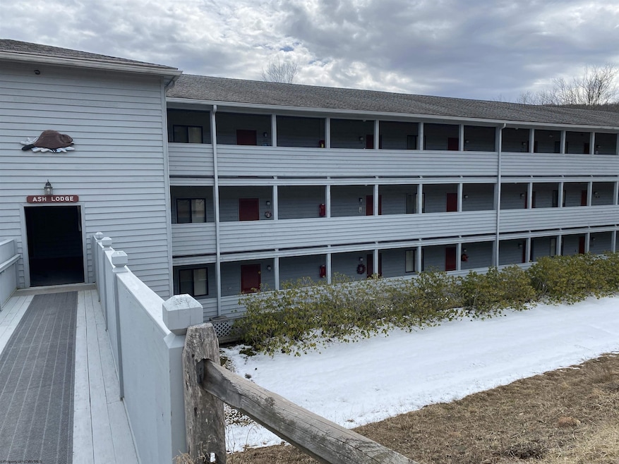 31 Ash Lodge Ct, Davis, WV 26260 - photo 1