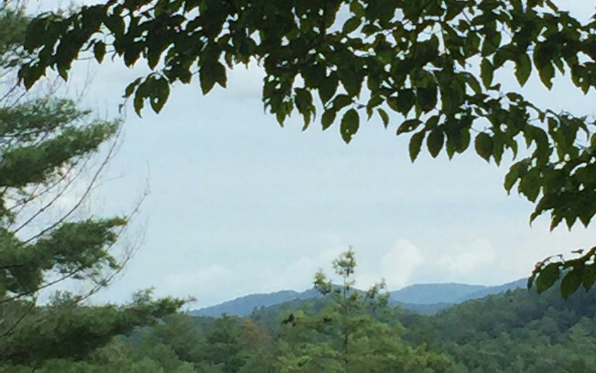 L641 Satsuma Ct, Ellijay, GA 30540 - photo 1