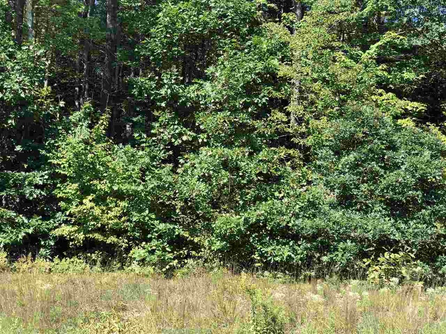 28 Proctor Hill Rd, Brookline, NH 03033 - photo 1