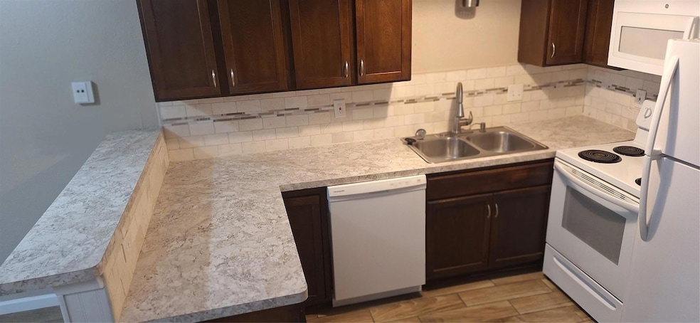 Kitchen featuring stove, dishwashing machine, dark