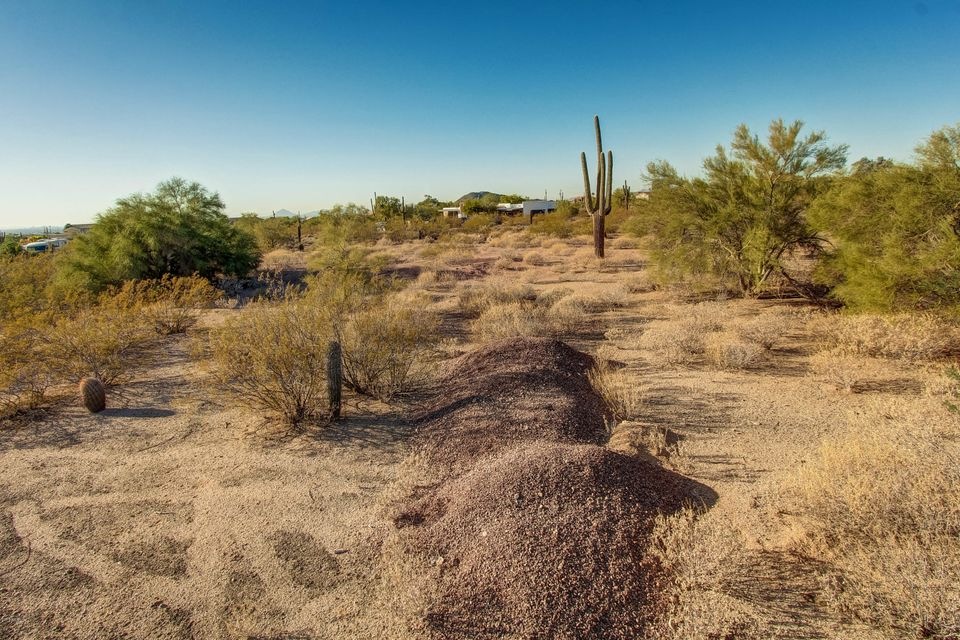 Gorgeous Desert Views