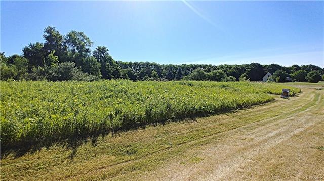 2 Vacant Land 1631 Autumn View Ln for Sale Summer 