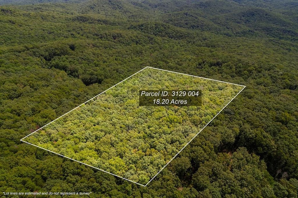 18 ACRES S Piney Spur Rd, Ellijay, GA 30536 - photo 1