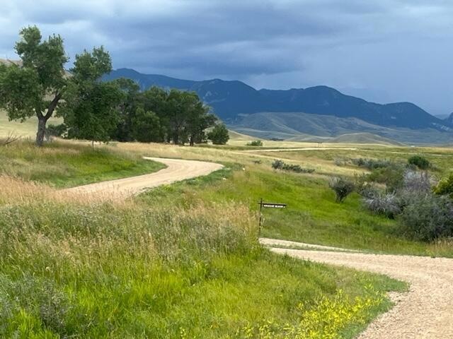 Hopkins Divide Loup