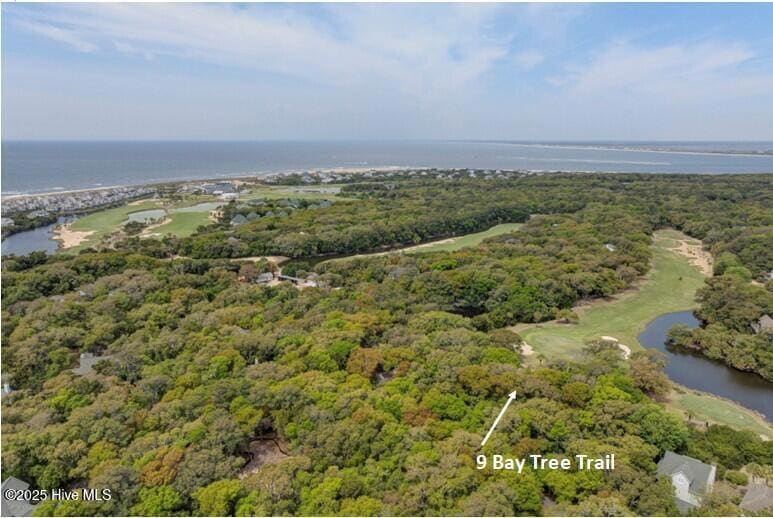 9 Bay Tree Trail, Bald Head Island, NC 28461 - photo 1