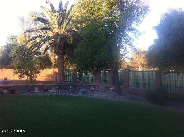 Back yard