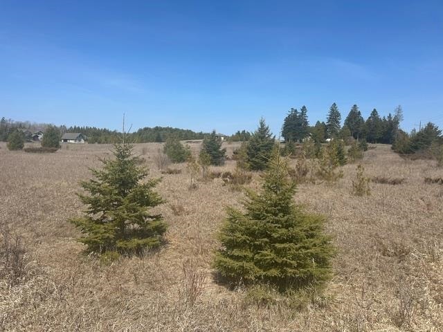 0 Laurel Ln, Jacksonport, WI 54202 - photo 1