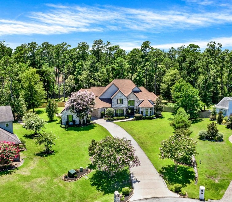 5006 Ossineke Ct, Spring, TX 77386 - photo 1