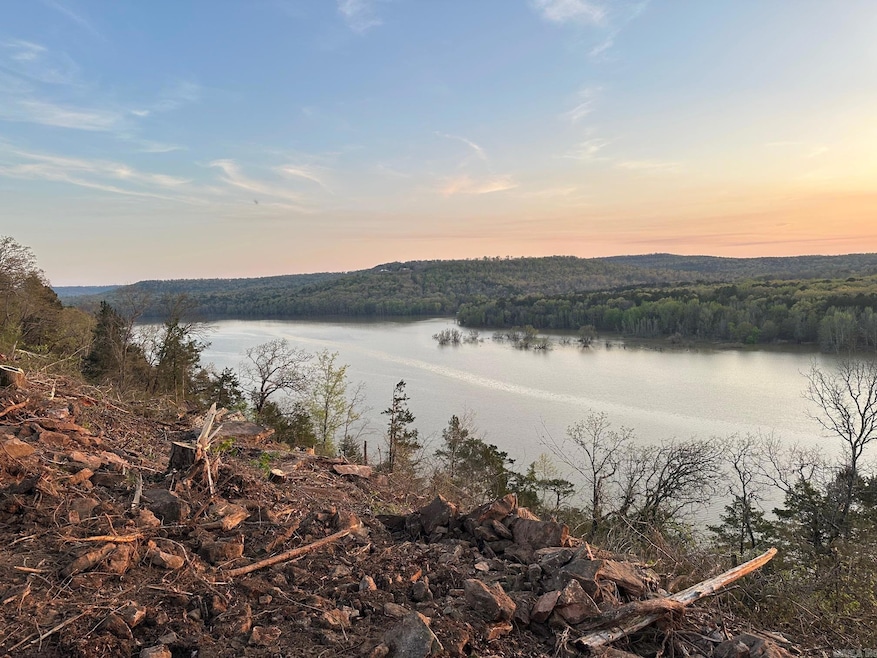 Lot 4 Phil Ln, Shirley, AR 72153 - photo 1