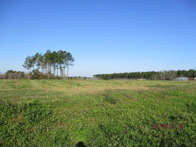 00 Evergreen Rd, Doerun, GA 31744 - photo 1