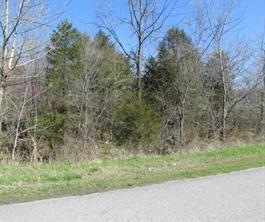 7.53 AC Whitehouse Rd, Fayetteville, AR 72701 - photo 1