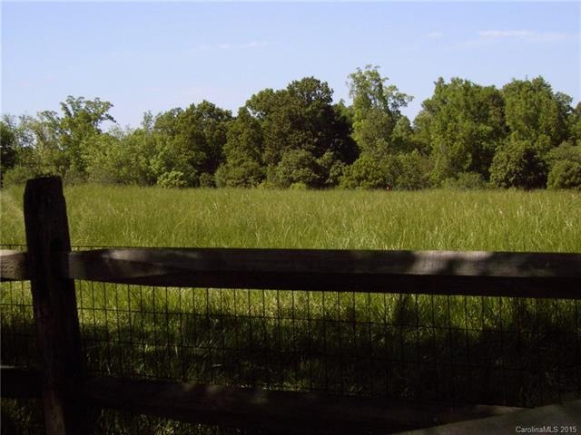 This is photo of Lots 2 and 3 before it was mowed.