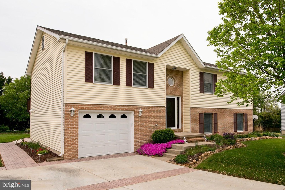 103 Button Bush Ave, Stephens City, VA 22655 - photo 1