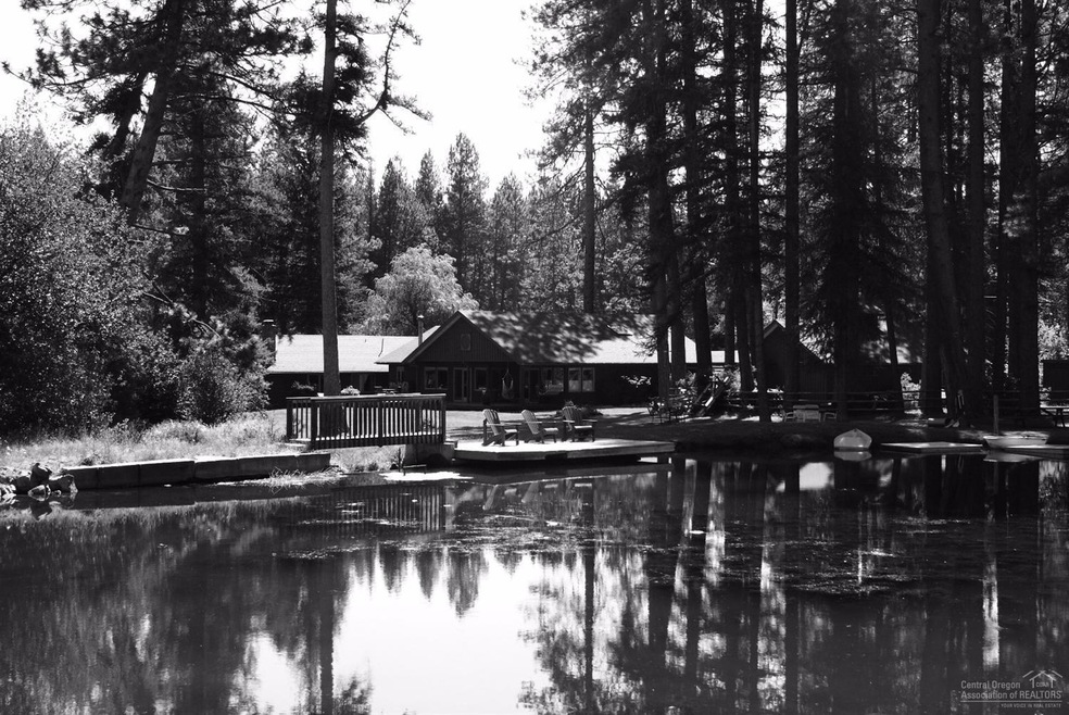 Primary Photo