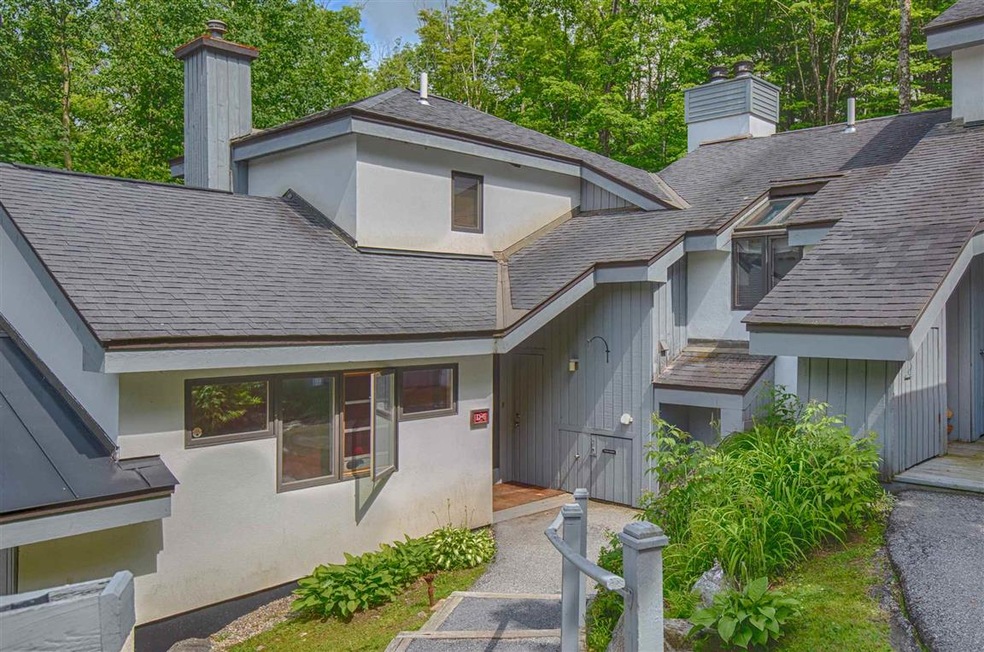 459 Woods Ln unit D-6, Killington, VT 05751 - photo 1