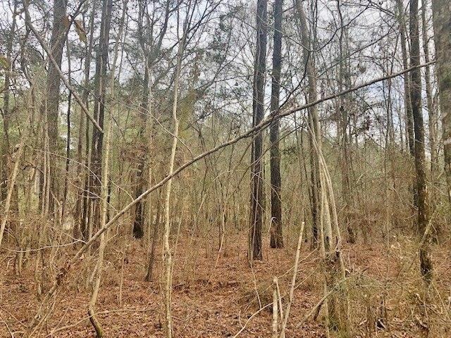 000 Old Hwy 24, McComb, MS 39648 - photo 1