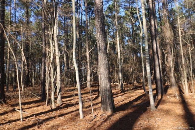 1146 Sutton Spring Rd unit F, York, SC 29745 - photo 1