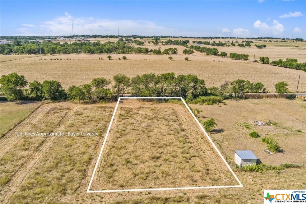 1040 Goates Rd, Troy, TX 76579 - photo 1