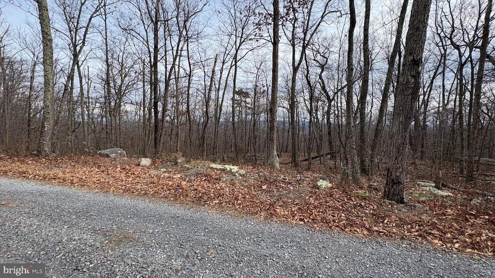 Lot 57, 58, 59 Iroquois Trail, Shawneeland, VA 22602 - photo 1