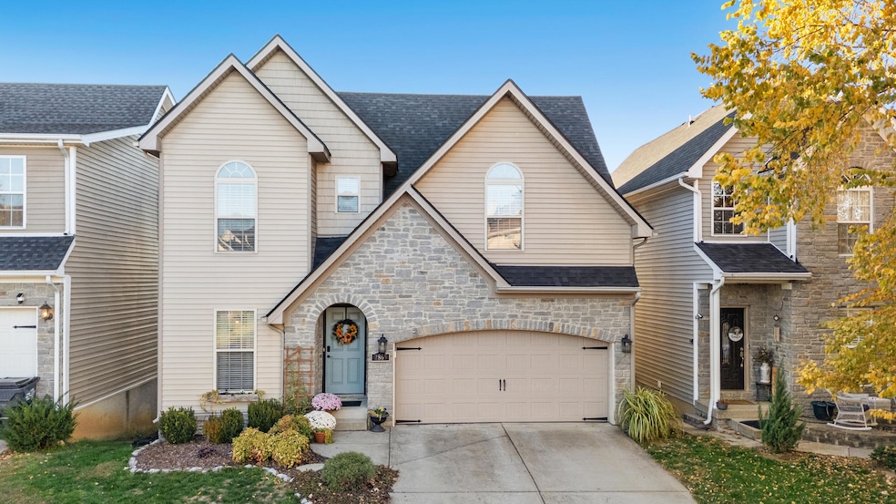 1_dji_20251106132058_0001_d