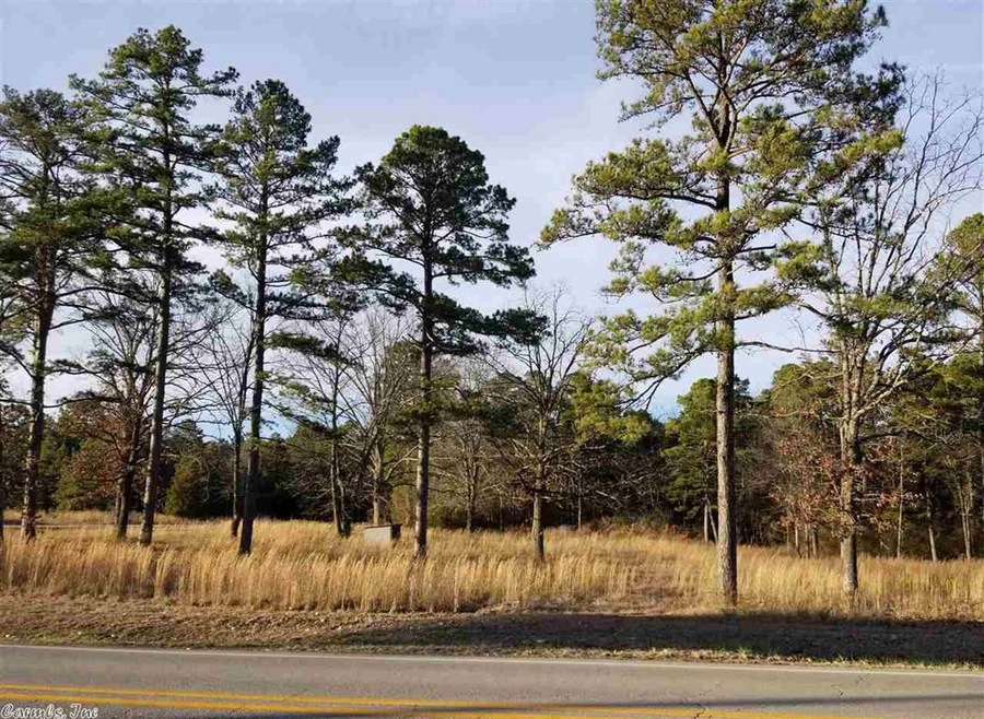 0 Hwy 25b unit 18006618, Heber Springs, AR 72543 - photo 1