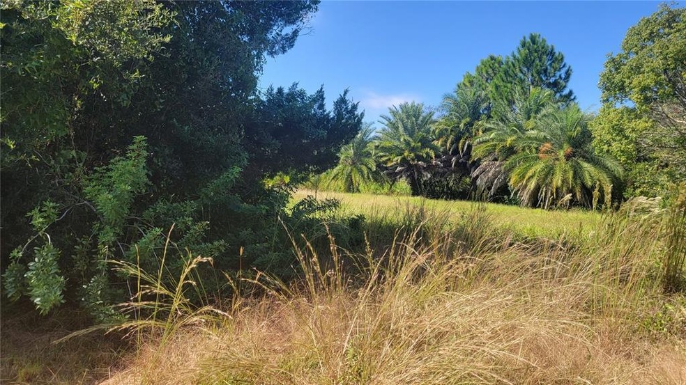 Vacant land