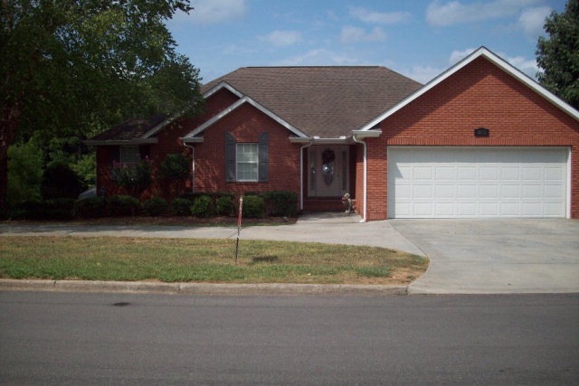 Main View