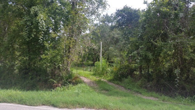 0 County Road 400 unit 62180, Brazoria, TX 77422 - photo 1