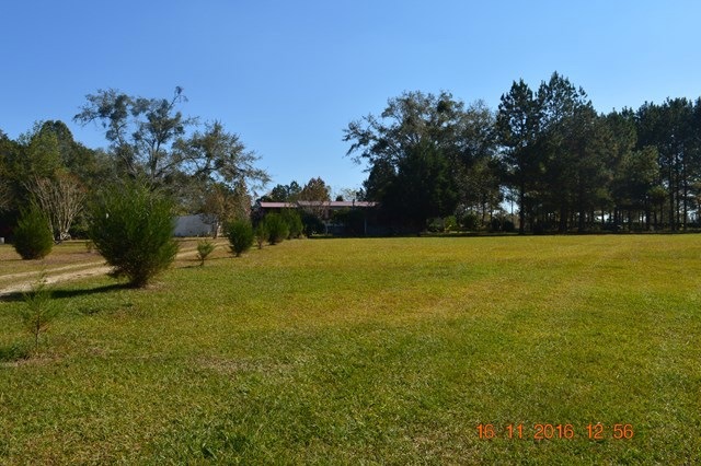 3234 State Route 188, Cairo, GA 39827 - photo 1