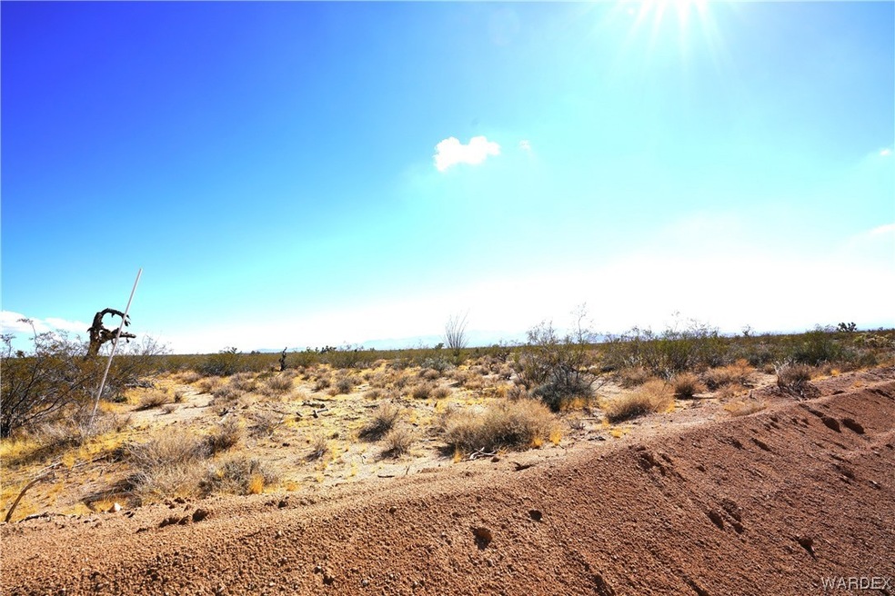 40.02 ACRES!!! AMAZING!!! BOTH SURVEY MARK ON CICO