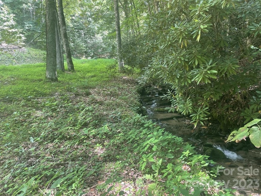 Lot 17/18 Long Creek Rd unit 17/18, Bryson City, NC 28713 - photo 1