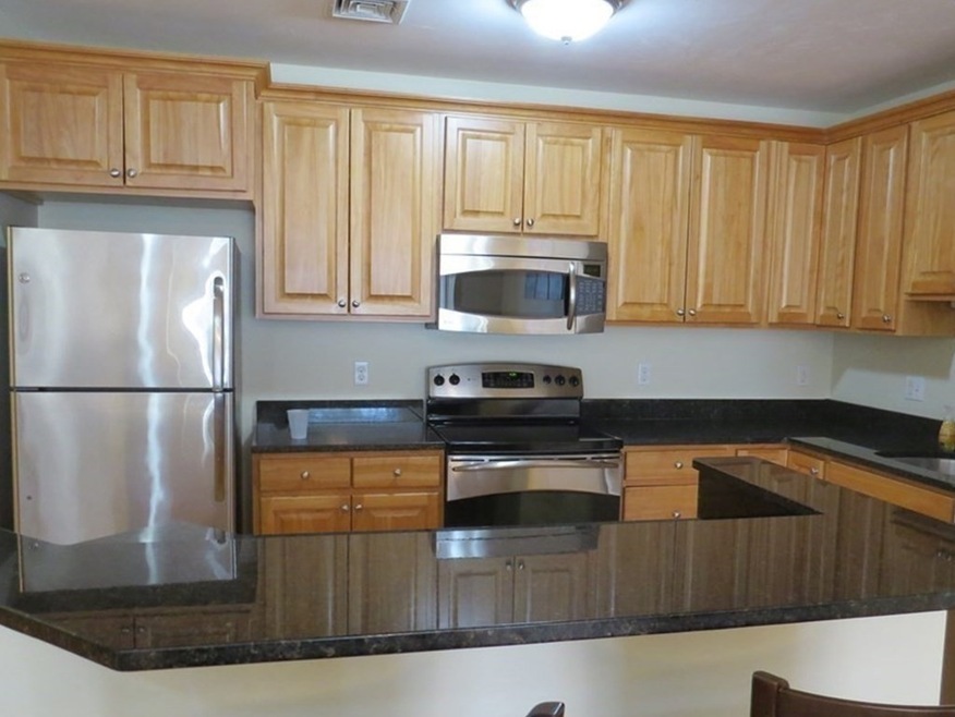 15 Summer St unit 203, Franklin, MA 02038 - photo 1