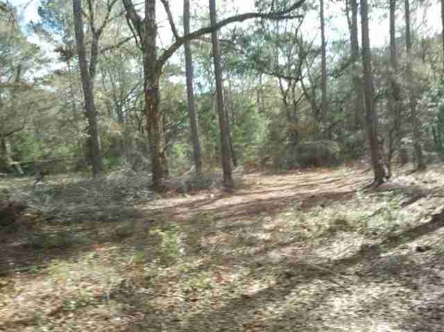 334 Lost Creek Ln, Crawfordville, FL 32327 - photo 1