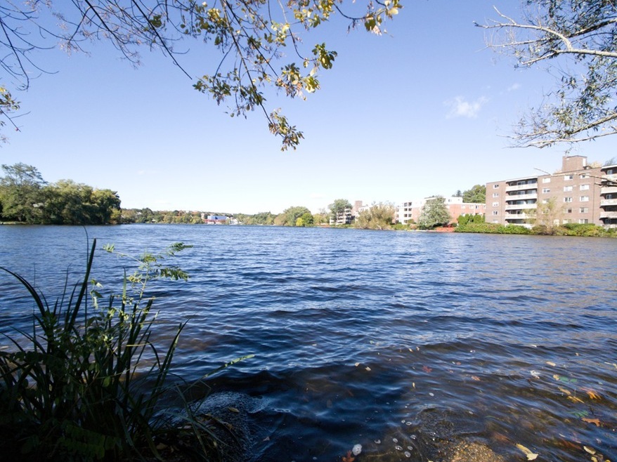 103 - 105 Lake St unit 105, Arlington, MA 02474 - photo 1