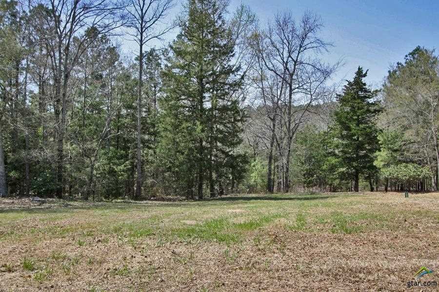 3959 Chapel Woods Blvd, Tyler, TX 75707 - photo 1