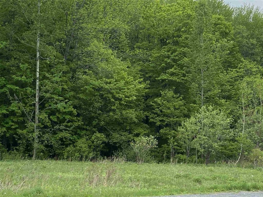 Lot 6 Route 9 E, Wilmington, VT 05363 - photo 1