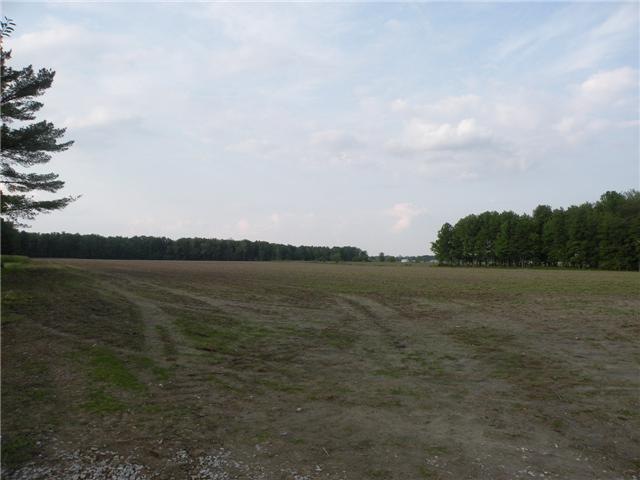 0 W Millhousen Rd unit MBR21176875, Osgood, IN 47037 - photo 1