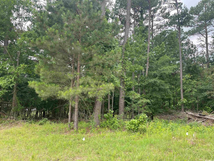 902 N 75th St, Paragould, AR 72450 - photo 1