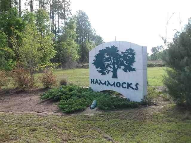 0 Juniper Dr unit 1 264525, Crawfordville, FL 32327 - photo 1