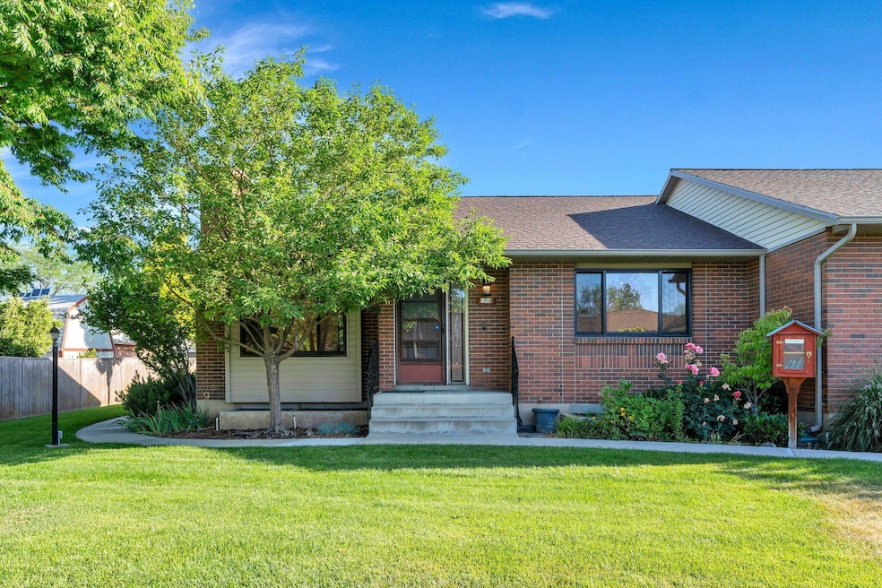 46-web-or-mls-DSC08540