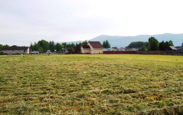 Main View