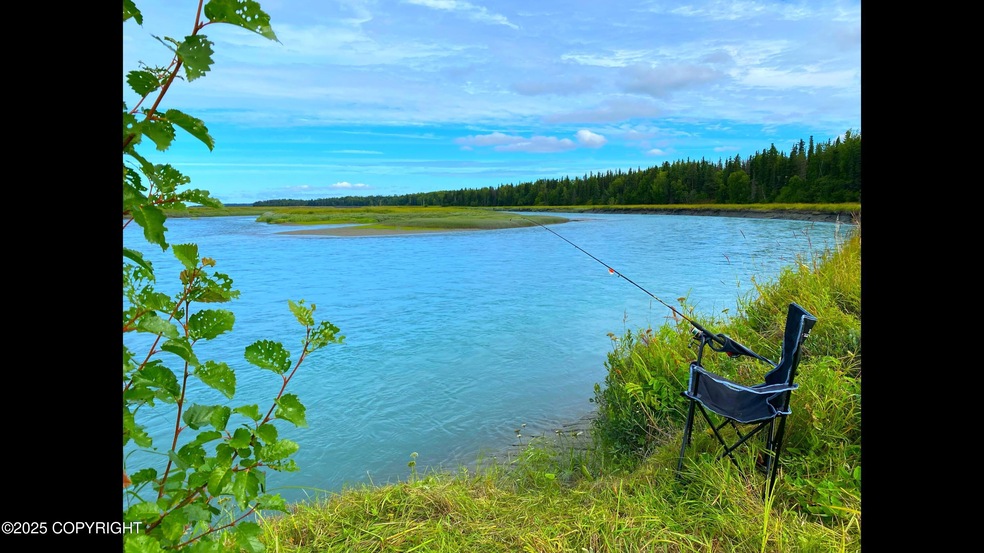 L33 Red Fox Ln, Kasilof, AK 99610 - photo 1