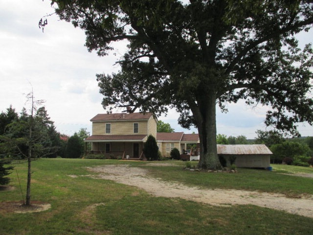 Main View