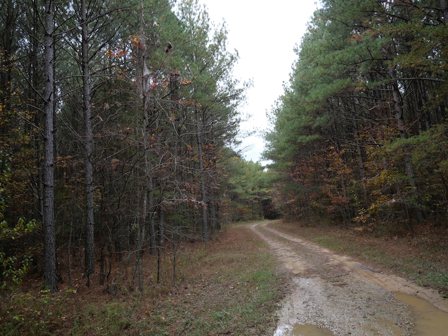 0 Tennessee 108, Altamont, TN 37301 - photo 1