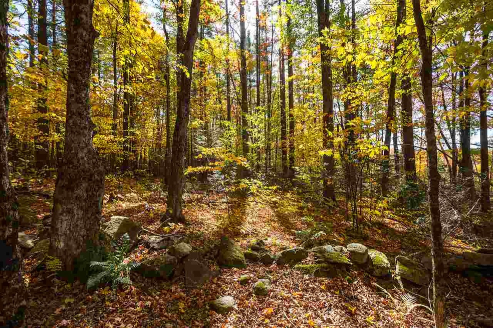 00 Holden Hill Rd unit Lot B, Weston, VT 05161 - photo 1