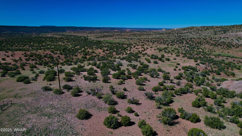 0 Co Rd 5062 Lot 1 3 53 Acres, Concho, AZ 85924 - photo 1