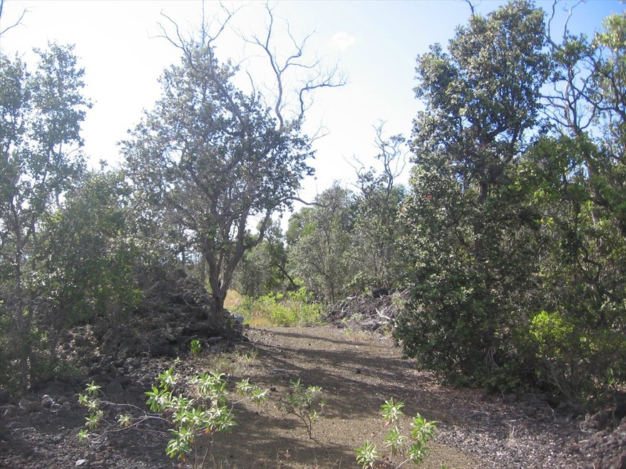 Along the driveway...