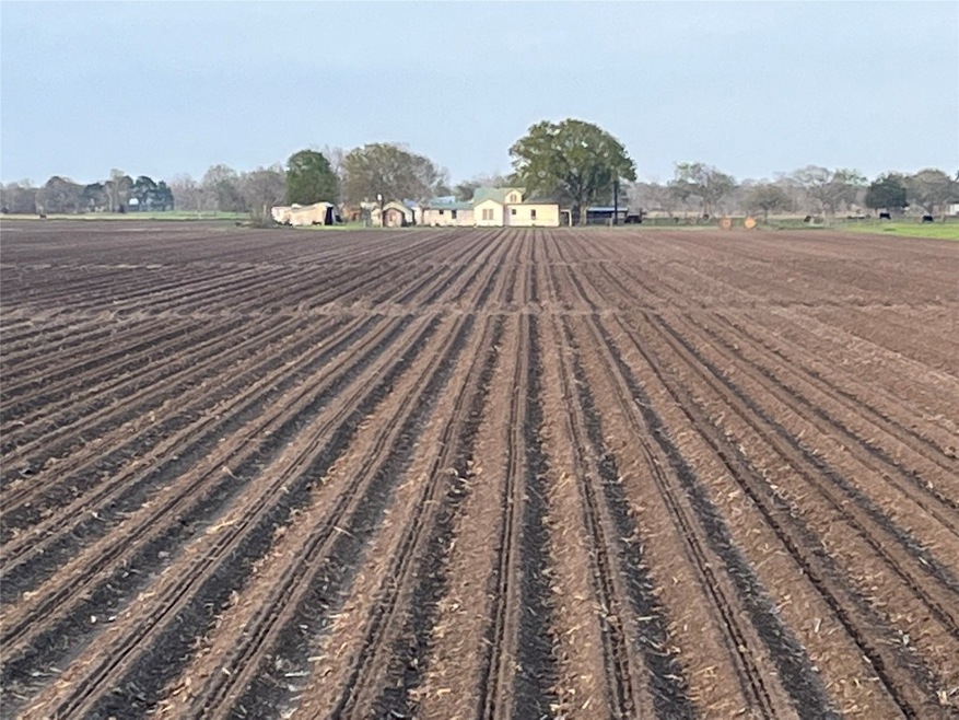 12222 Williams School Rd, Needville, TX 77461 - photo 1