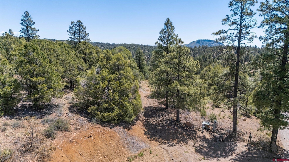 275 Logging Trail Rd, Durango, CO 81303 - photo 1