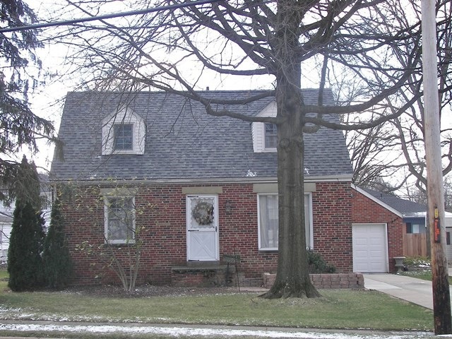 Main View